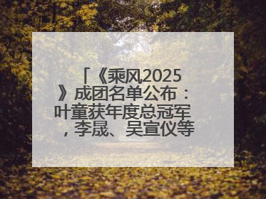 《乘风2025》成团名单公布：叶童获年度总冠军，李晟、吴宣仪等10位姐姐成功成团，陈德容获年度高光人物
