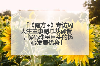 《南方+》专访周大生董事副总裁郭晋，解码珠宝巨头的核心发展优势