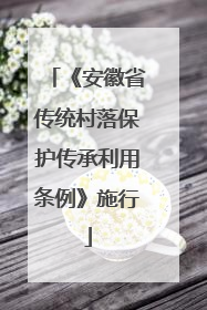 《安徽省传统村落保护传承利用条例》施行