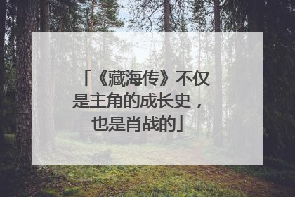 《藏海传》不仅是主角的成长史，也是肖战的