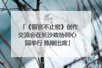 《铜官不止窑》创作交流会在长沙政协同心园举行 陈刚出席