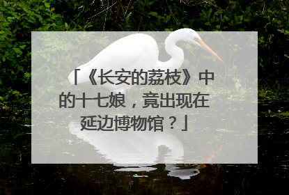 《长安的荔枝》中的十七娘，竟出现在延边博物馆？