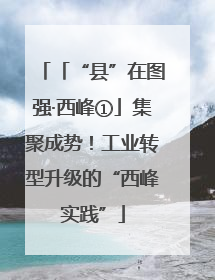 「“县”在图强·西峰①」集聚成势！工业转型升级的“西峰实践”
