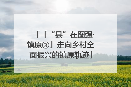 「“县”在图强·镇原③」走向乡村全面振兴的镇原轨迹