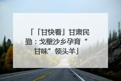「甘快看」甘肃民勤：戈壁沙乡孕育“甘味”领头羊