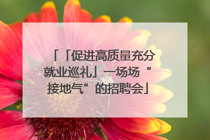 「促进高质量充分就业巡礼」一场场“接地气”的招聘会