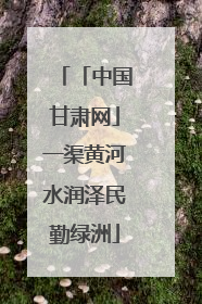「中国甘肃网」一渠黄河水润泽民勤绿洲