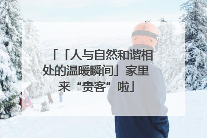 「人与自然和谐相处的温暖瞬间」家里来“贵客”啦