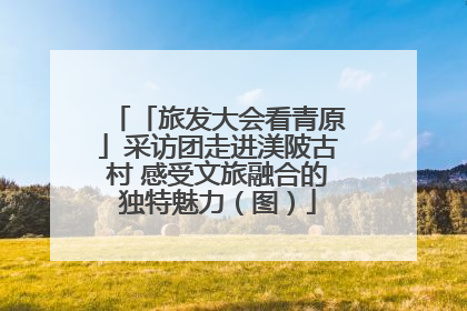 「旅发大会看青原」采访团走进渼陂古村 感受文旅融合的独特魅力（图）