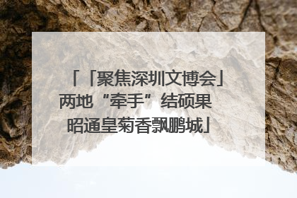 「聚焦深圳文博会」两地“牵手”结硕果 昭通皇菊香飘鹏城