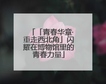「青春华章·重走西北角」闪耀在博物馆里的青春力量