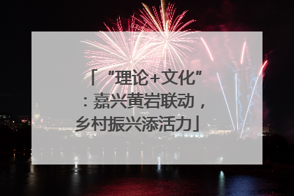 “理论+文化”：嘉兴黄岩联动，乡村振兴添活力