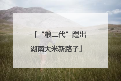 “粮二代”蹚出湖南大米新路子
