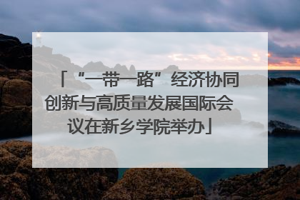 “一带一路”经济协同创新与高质量发展国际会议在新乡学院举办