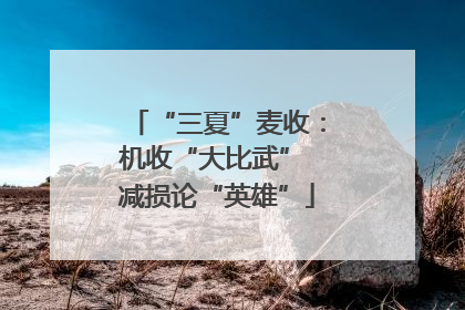 “三夏”麦收：机收“大比武” 减损论“英雄”