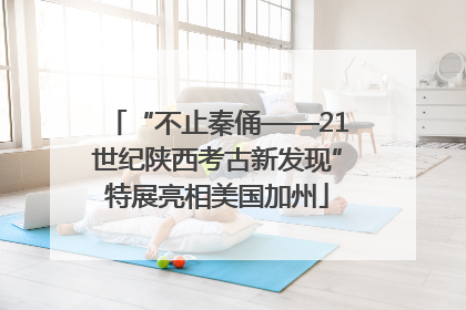 “不止秦俑——21世纪陕西考古新发现”特展亮相美国加州