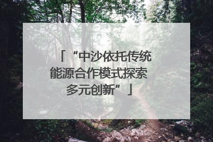 “中沙依托传统能源合作模式探索多元创新”