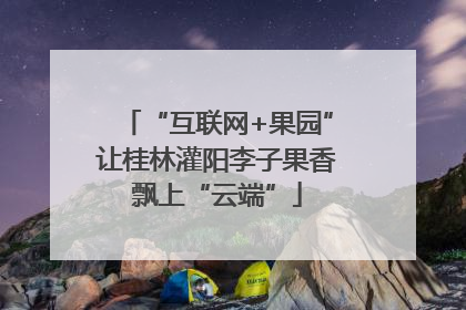 “互联网+果园”让桂林灌阳李子果香飘上“云端”