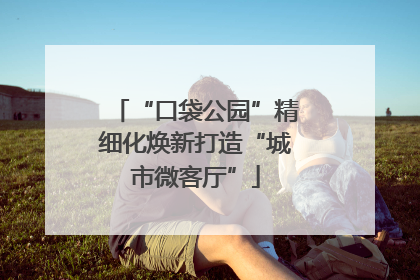 “口袋公园”精细化焕新打造“城市微客厅”