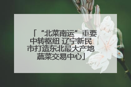 “北菜南运”重要中转枢纽 辽宁新民市打造东北最大产地蔬菜交易中心
