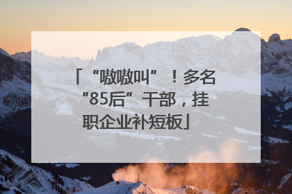 “嗷嗷叫”！多名“85后”干部，挂职企业补短板