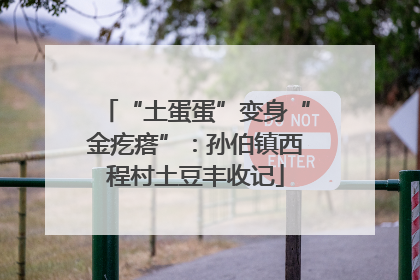 “土蛋蛋”变身“金疙瘩”：孙伯镇西程村土豆丰收记