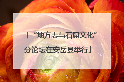 “地方志与石窟文化”分论坛在安岳县举行