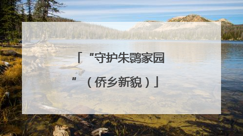 “守护朱鹮家园”（侨乡新貌）