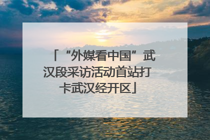 “外媒看中国”武汉段采访活动首站打卡武汉经开区