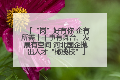 “岗”好有你 企有所需丨干事有舞台、发展有空间 河北国企抛出人才“橄榄枝”