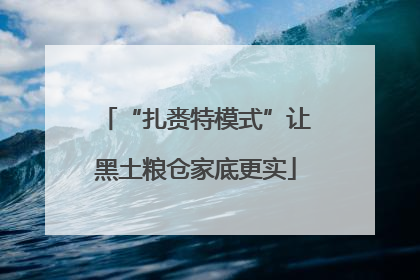“扎赉特模式”让黑土粮仓家底更实