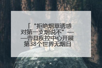 “拒绝烟草诱惑 对第一支烟说不”——曹县疾控中心开展第38个世界无烟日科普宣传活动