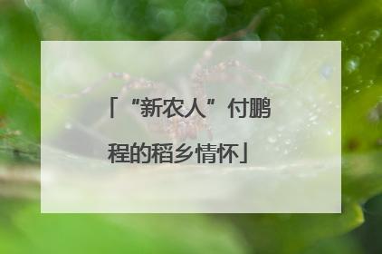 “新农人”付鹏程的稻乡情怀