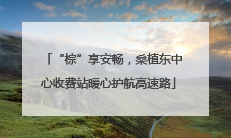 “棕”享安畅，桑植东中心收费站暖心护航高速路