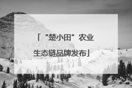 “楚小田”农业生态链品牌发布
