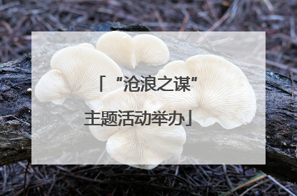 “沧浪之谋”主题活动举办