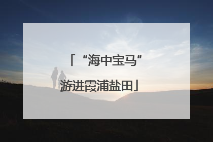 “海中宝马”游进霞浦盐田