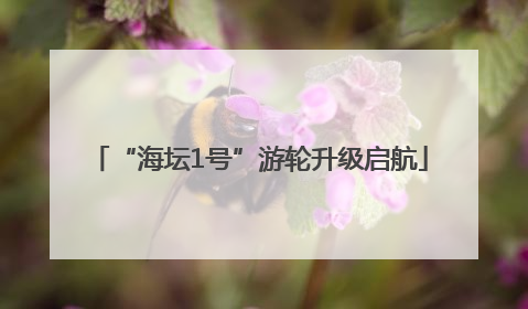 “海坛1号”游轮升级启航