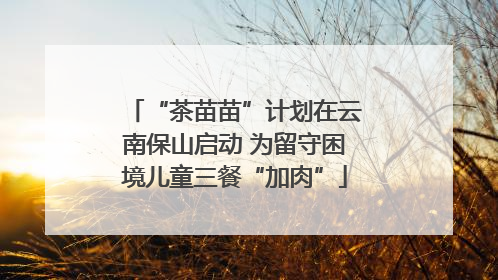“茶苗苗”计划在云南保山启动 为留守困境儿童三餐“加肉”