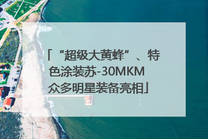 “超级大黄蜂”、特色涂装苏-30MKM 众多明星装备亮相