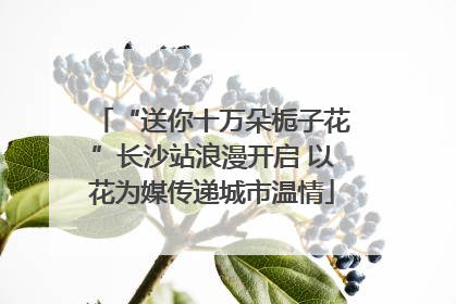 “送你十万朵栀子花”长沙站浪漫开启 以花为媒传递城市温情
