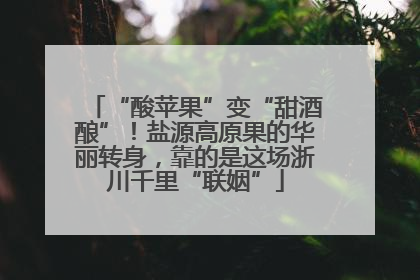 “酸苹果”变“甜酒酿”！盐源高原果的华丽转身，靠的是这场浙川千里“联姻”