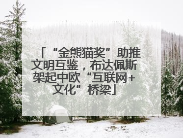 “金熊猫奖”助推文明互鉴，布达佩斯架起中欧“互联网+文化”桥梁