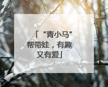 “青小马”帮带娃，有趣又有爱