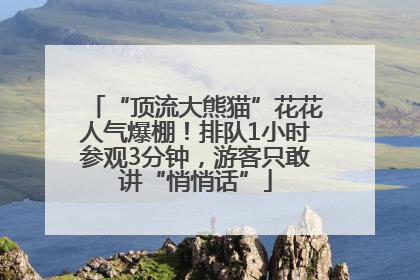 “顶流大熊猫”花花人气爆棚！排队1小时参观3分钟，游客只敢讲“悄悄话”