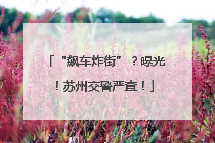 “飙车炸街”？曝光！苏州交警严查！