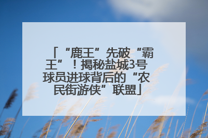 “鹿王”先破“霸王”！揭秘盐城3号球员进球背后的“农民街游侠”联盟