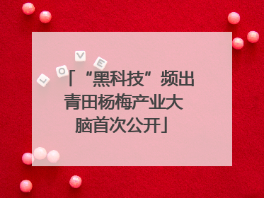 “黑科技”频出 青田杨梅产业大脑首次公开