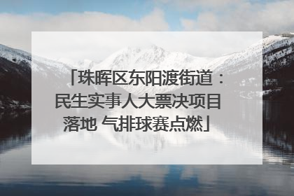 珠晖区东阳渡街道：民生实事人大票决项目落地 气排球赛点燃