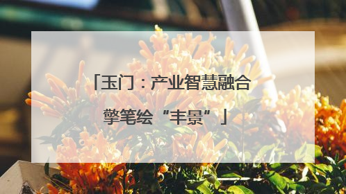 玉门：产业智慧融合 擎笔绘“丰景”